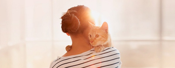 Почему кошка закапывает миску? | Приют для кошек Муркоша