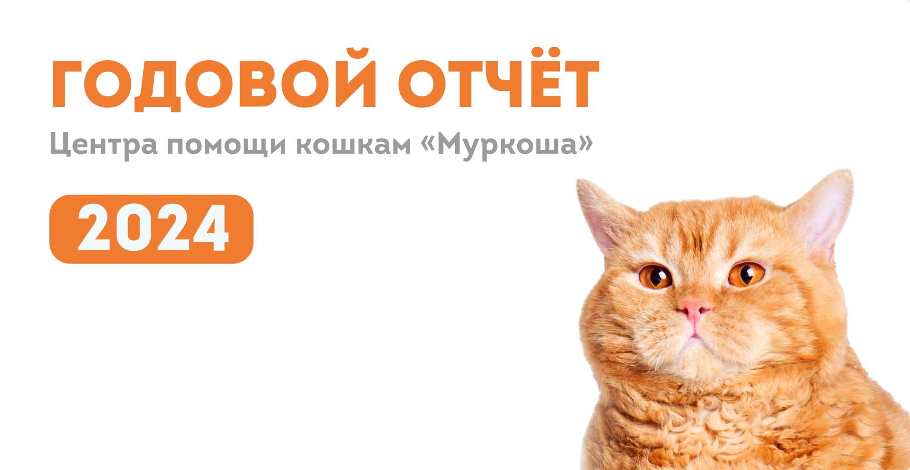 Итоги 2024 года, нажмите чтобы открыть PDF файл