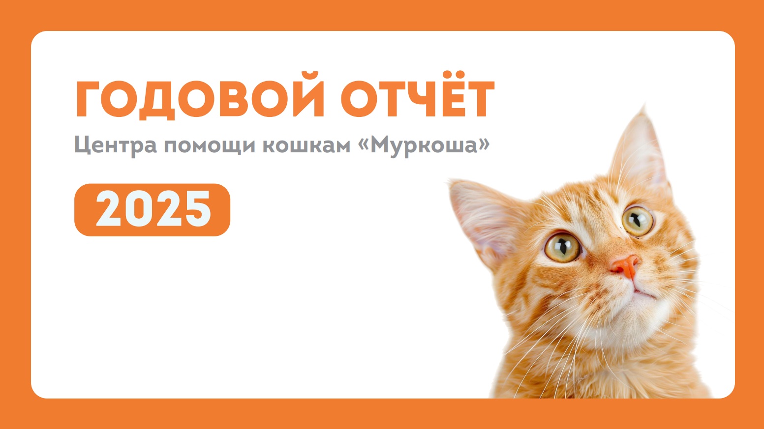 Итоги 2025 года, нажмите чтобы открыть PDF файл