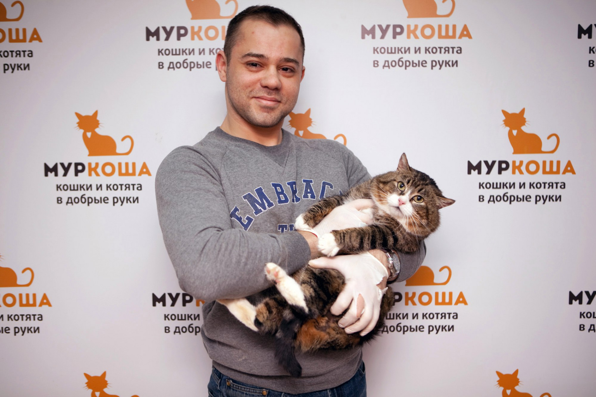 приют кошек