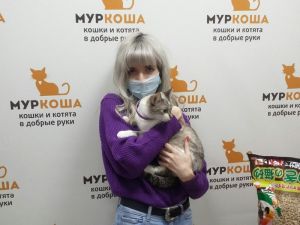 Котик