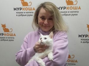 Котик