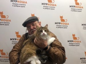 Котик