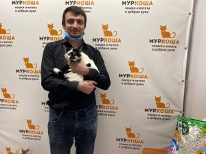 Котик