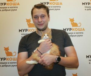 Котик