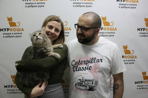 Котик