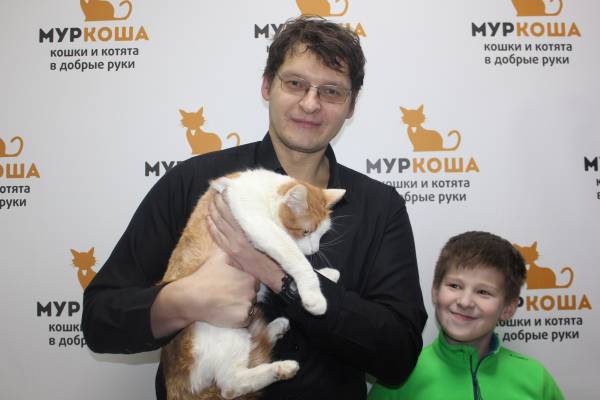 Котик