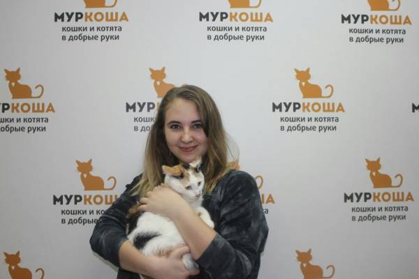 Котик