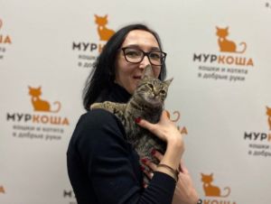 Котик