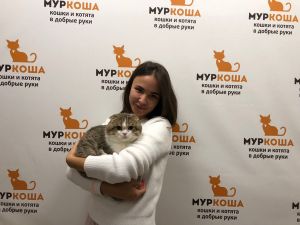 Котик