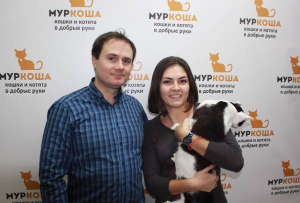 Котик