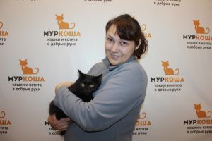 Котик