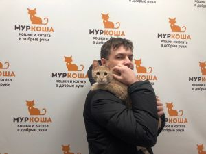 Котик