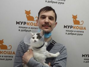 Котик