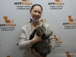 Котик