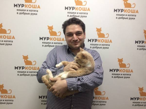 Котик
