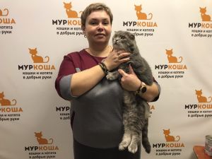 Котик