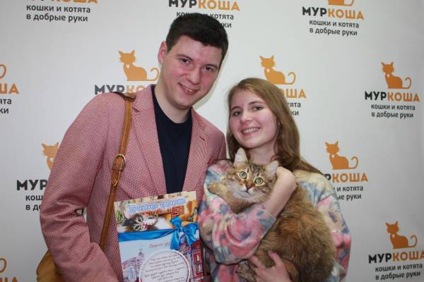 Котик