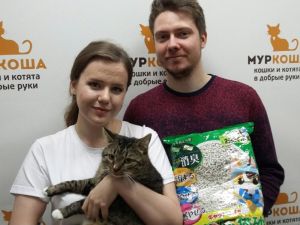 Котик