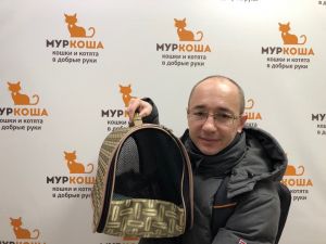 Котик