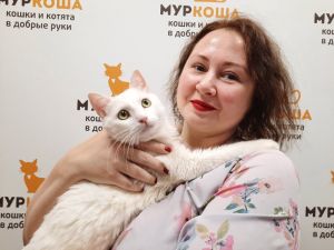 Котик