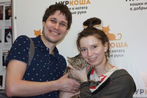 Котик