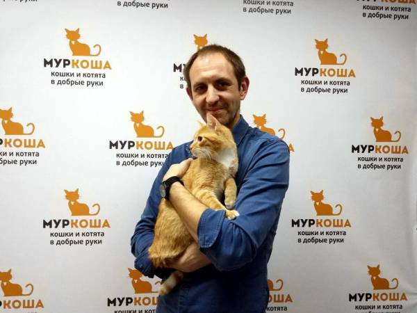 Котик