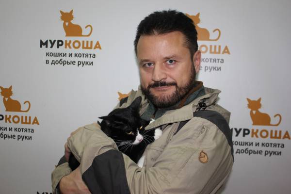 Котик