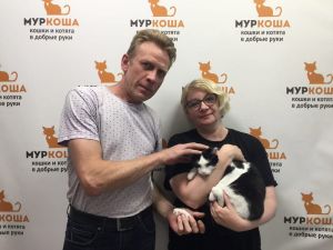 Котик