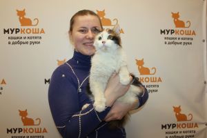 Котик