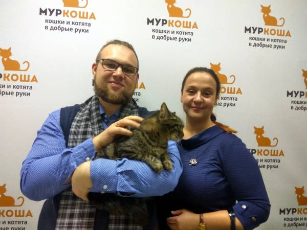 Котик