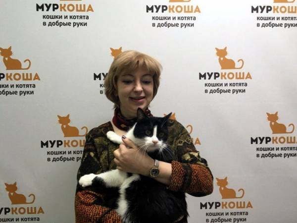 Котик