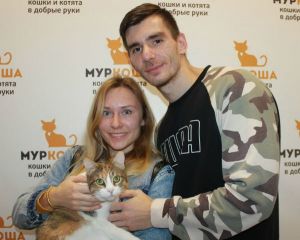 Котик