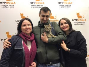 Котик