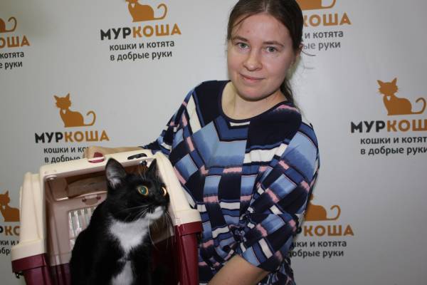 Котик