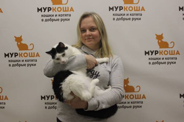 Котик