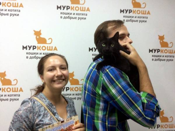 Котик