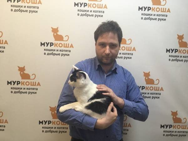 Котик