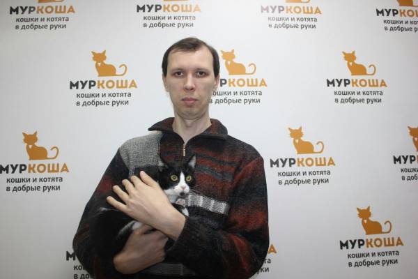 Котик