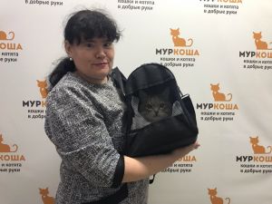 Котик