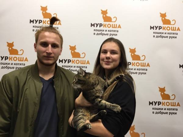 Котик