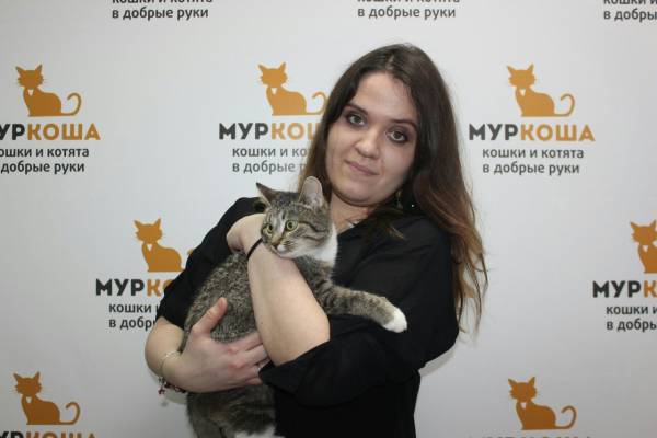 Котик