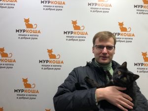 Котик