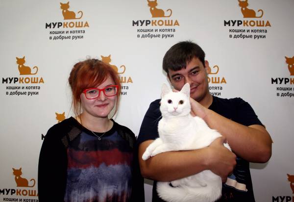 Котик