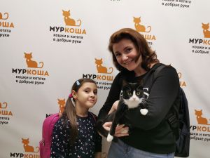 Котик