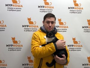 Котик
