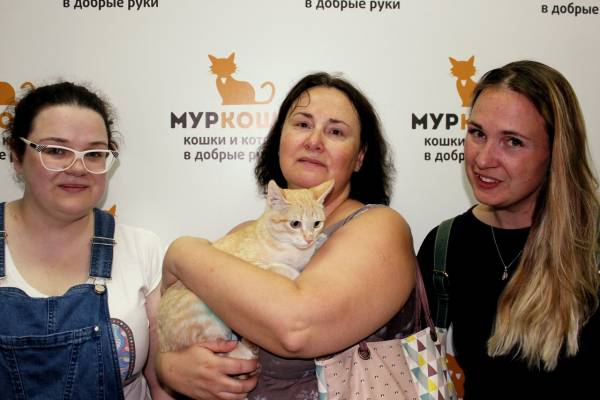 Котик
