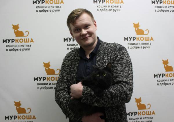 Котик
