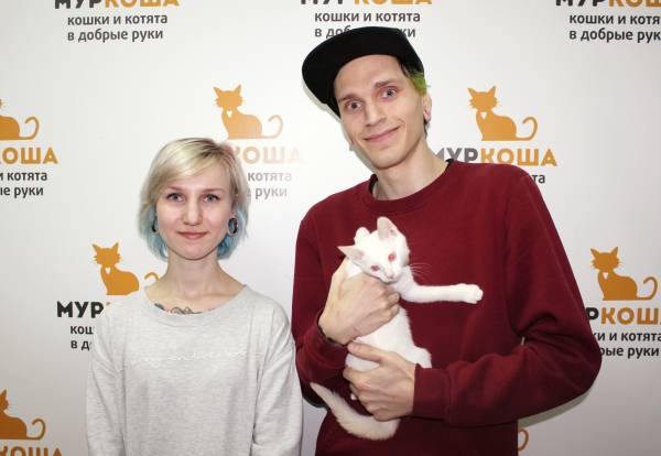 Котик