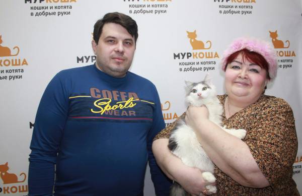 Котик